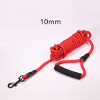 Nylon long-line dog lead rope and hardware detail