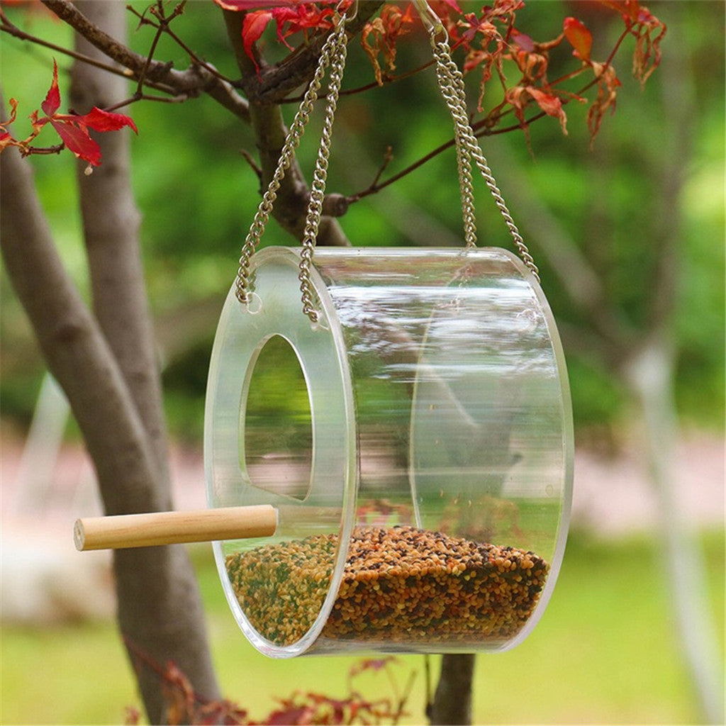 Transparent bird feeder dimensions and design