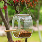 Transparent bird feeder dimensions and design