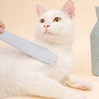 Grey cat grooming brush feature view