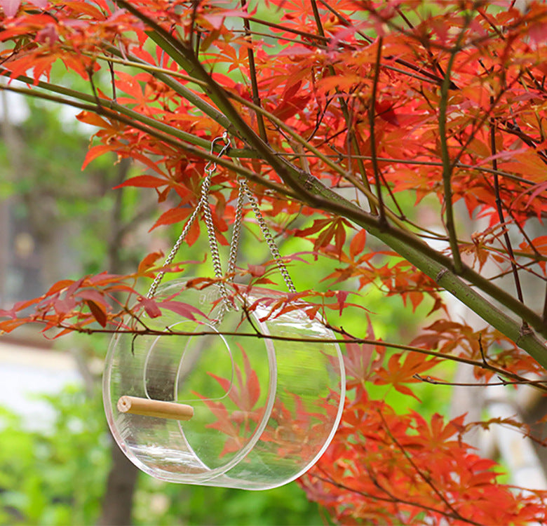 Transparent round bird feeder side view