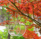 Transparent round bird feeder side view