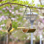 Acrylic bird feeder in-use detail