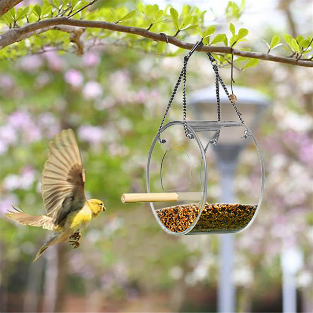 Acrylic bird feeder in-use detail