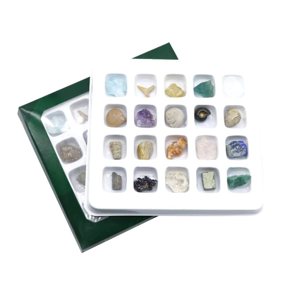 Kids Crystal, Rock & Fossil Learning Set – 20 Types — product image 1