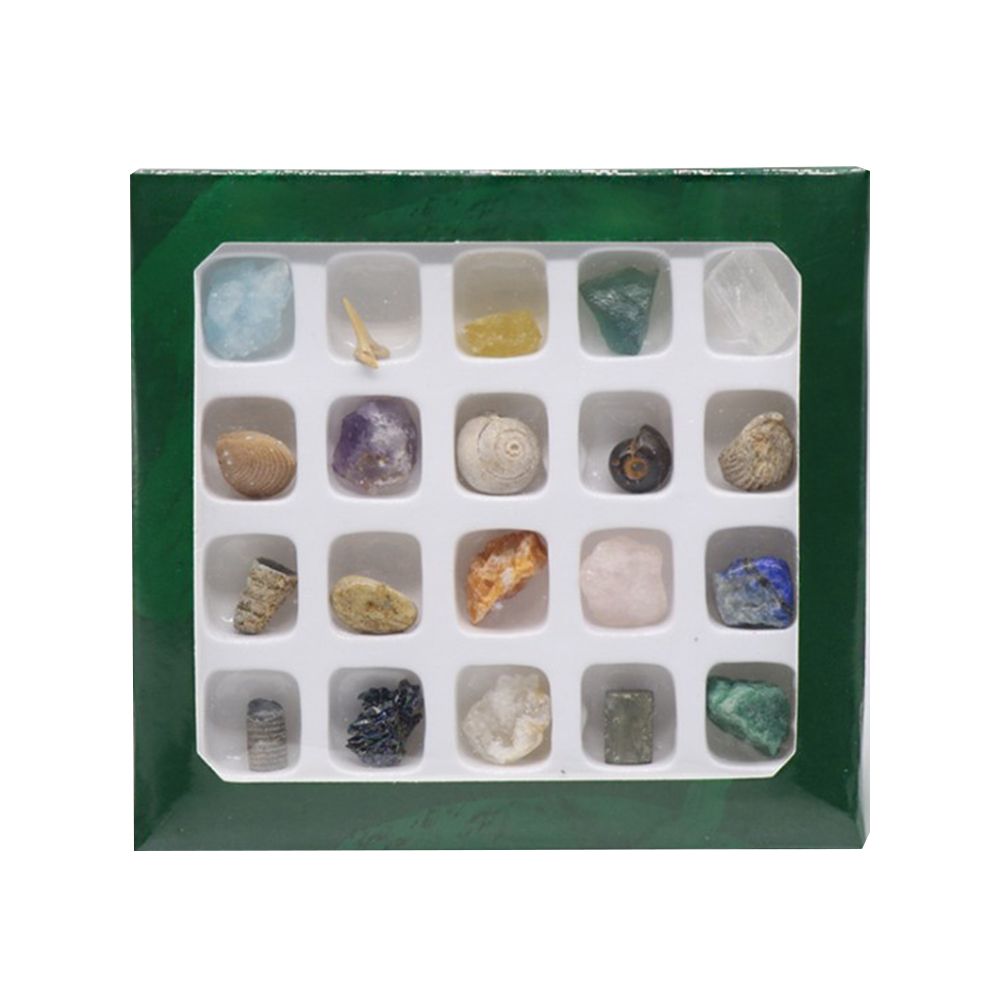 Kids Crystal, Rock & Fossil Learning Set – 20 Types — product image 2