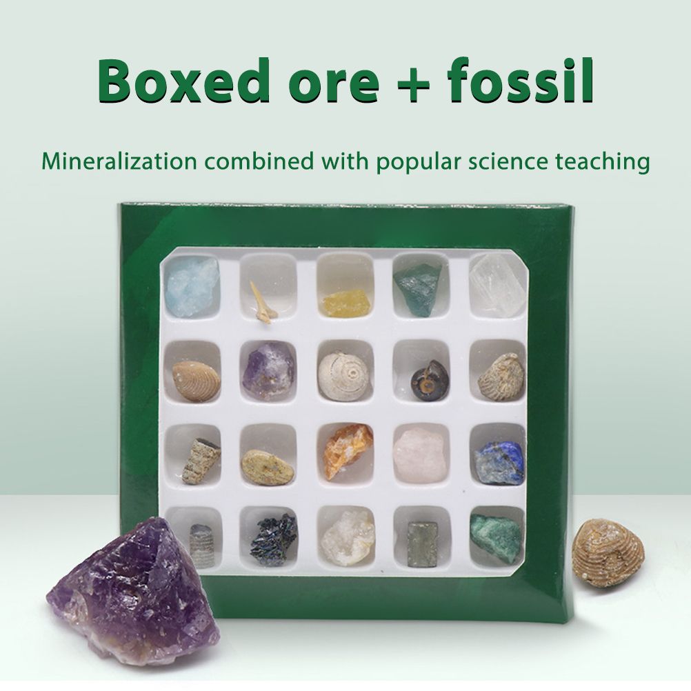 Kids Crystal, Rock & Fossil Learning Set – 20 Types — product image 4