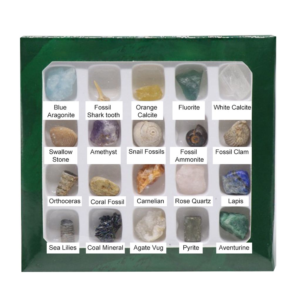 Kids Crystal, Rock & Fossil Learning Set – 20 Types — product image 5