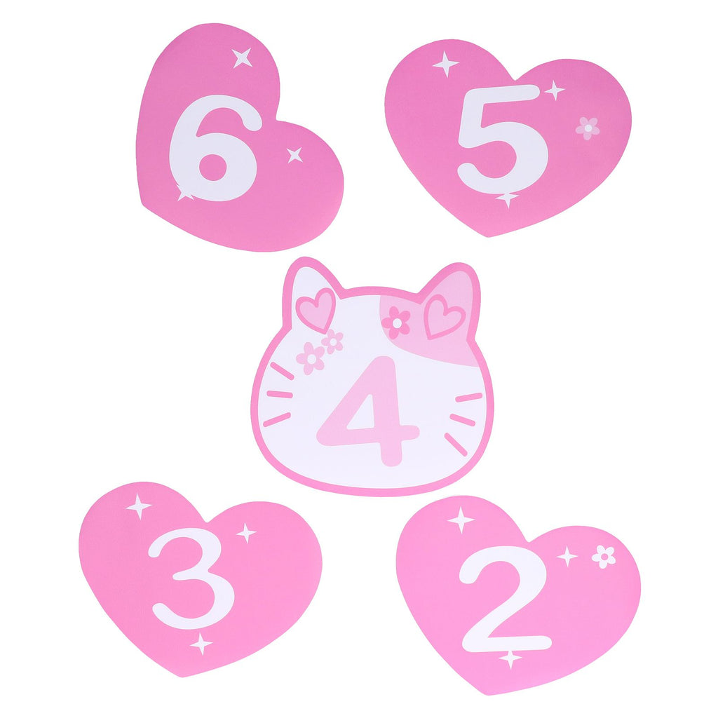 Pink Number Hopscotch Floor Stickers – 10 Numbers — product image 14