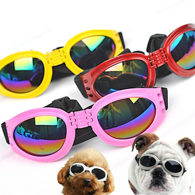 Foldable pet goggles frame detail