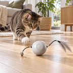 Grey rechargeable LED rolling cat toy in use with a cat